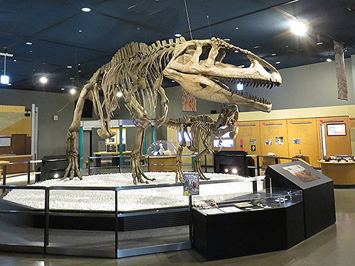 マプサウルスの全身復元骨格